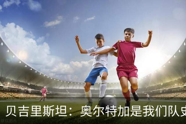 贝吉里斯坦：奥尔特加是我们队史最好二门